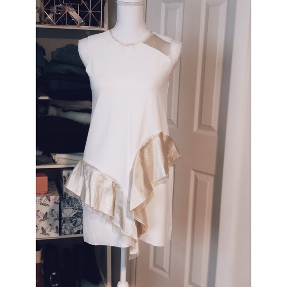 NWT Zara Modern Mini Dress Satin & Organza Ruffles - Picture 1 of 5